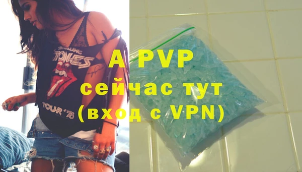 PSILOCYBIN Белоозёрский