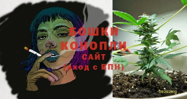 PSILOCYBIN Белоозёрский