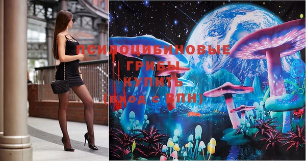 PSILOCYBIN Белоозёрский