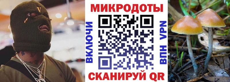 Псилоцибиновые грибы Psilocybe Воскресенск