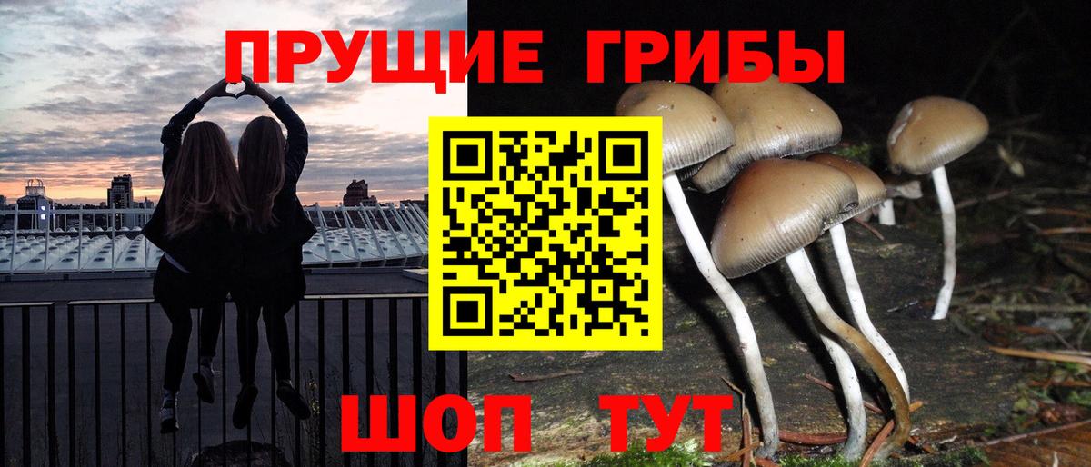 наркота  Псилоцибиновые грибы MAGIC MUSHROOMS  Вход с VPN  Воскресенск  Галлюциногенные грибы мухоморы 